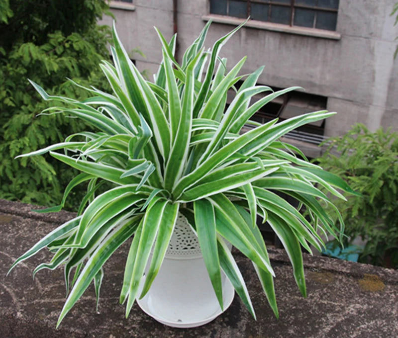 Artificial Green Chlorophytum Plant Fake Silk Orchid Leaves Grass Plant Floral Home Garden Decoration