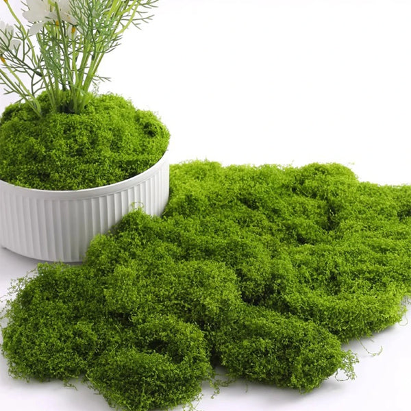 Eternal Life Moss DIY Crafts Grass Artificial Green Plants   Home Room Garden Decor Mini Landscape Fake Grass 20/40/100g