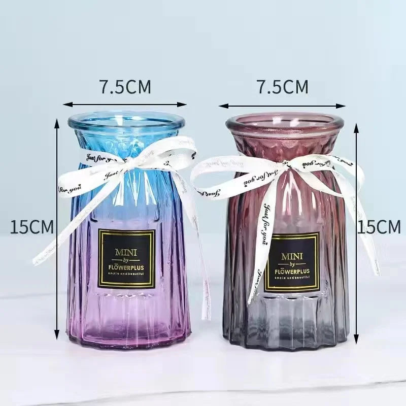 Extra Large Glass Vase Transparent Living Room Ornament Hydroponic Plant Lucky Bamboo Lily Inserted Dry Flower Ceramic