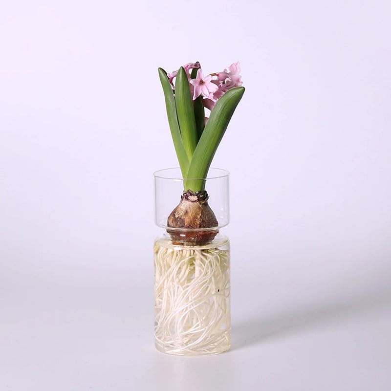 MagiDeal Clear Hyacinth Glass Vase Creative Flower Planter Pot DIY Terrarium Container Decor Art Gift Home Decoration