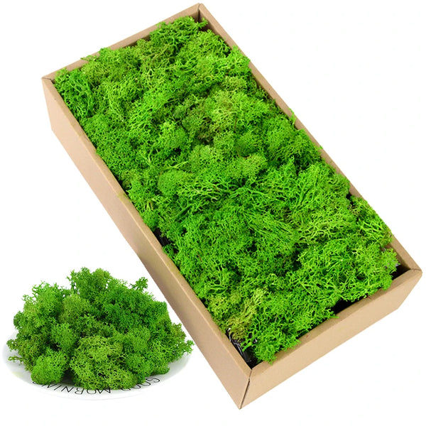 40g Simulation Artificial Moss Green Eternal Life Moss Grass Fake Plant For Home Wall Decor Garden Micro Landscape Material Gift