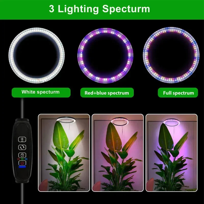 New Grow Lights LED Ring Indoor Plants 160LEDs 6000K Full Spectrum Plant Light for Indoor Plants Height Adjustable Growing Lamp