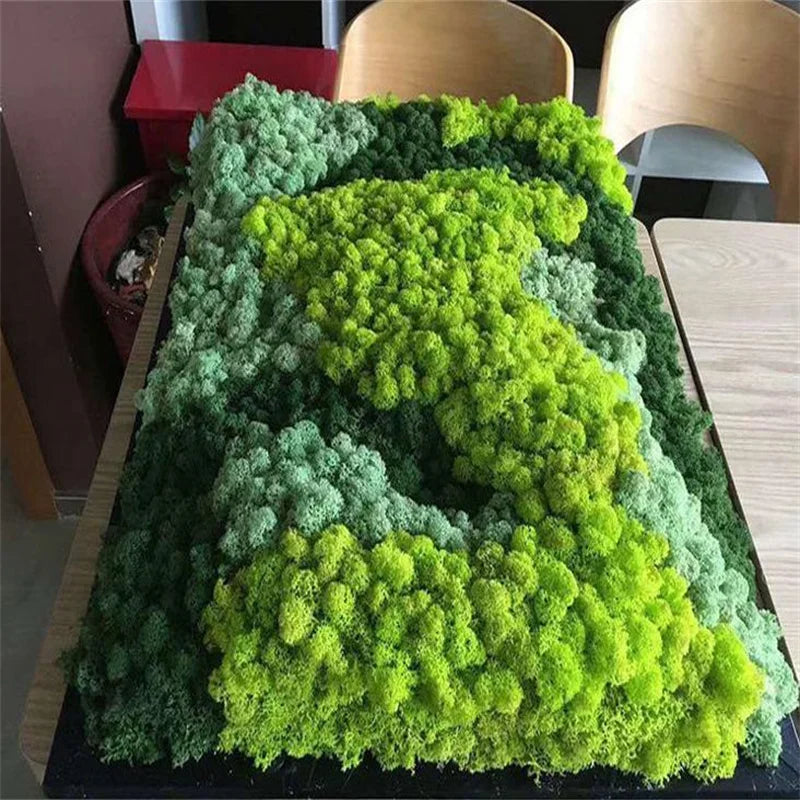 20/40g Artificial Green Plants Eternal Life Moss Grass Home Living Room Garden Decoration Mini Landscape Fake Flower DIY Crafts