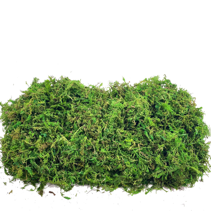 Fake Moss Artificial Moss for Potted Plants Home Decor Fairy Garden Crafts Wedding Decoration