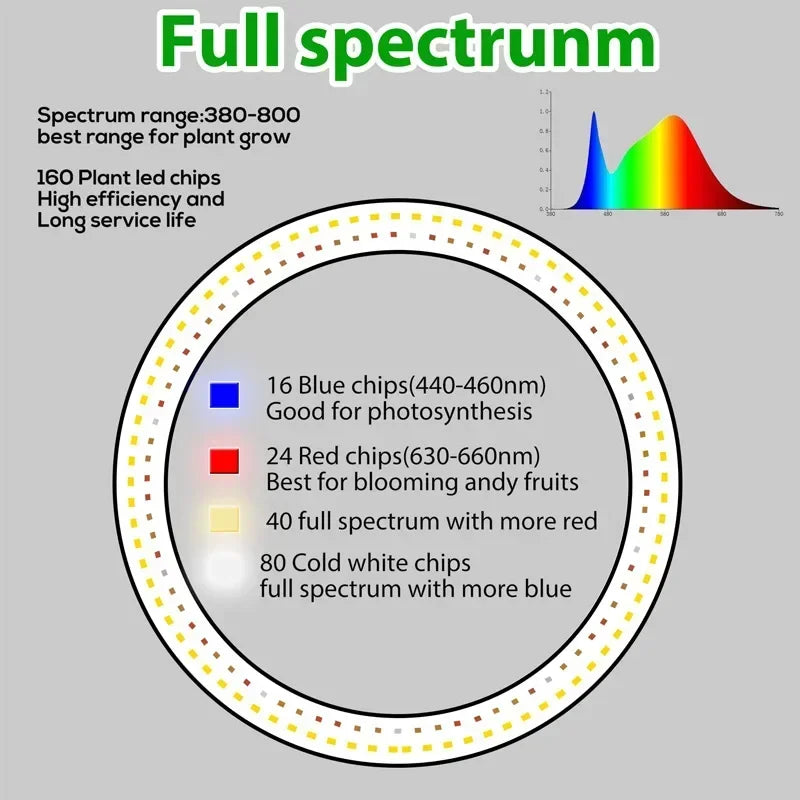 New Grow Lights LED Ring Indoor Plants 160LEDs 6000K Full Spectrum Plant Light for Indoor Plants Height Adjustable Growing Lamp