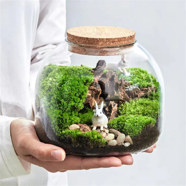 Micro Landscape Moss Bryophyte Glass Vase With Cork Fresh Green Moss Bottle Glass Terrarium Creative Hydroponic Plant Container