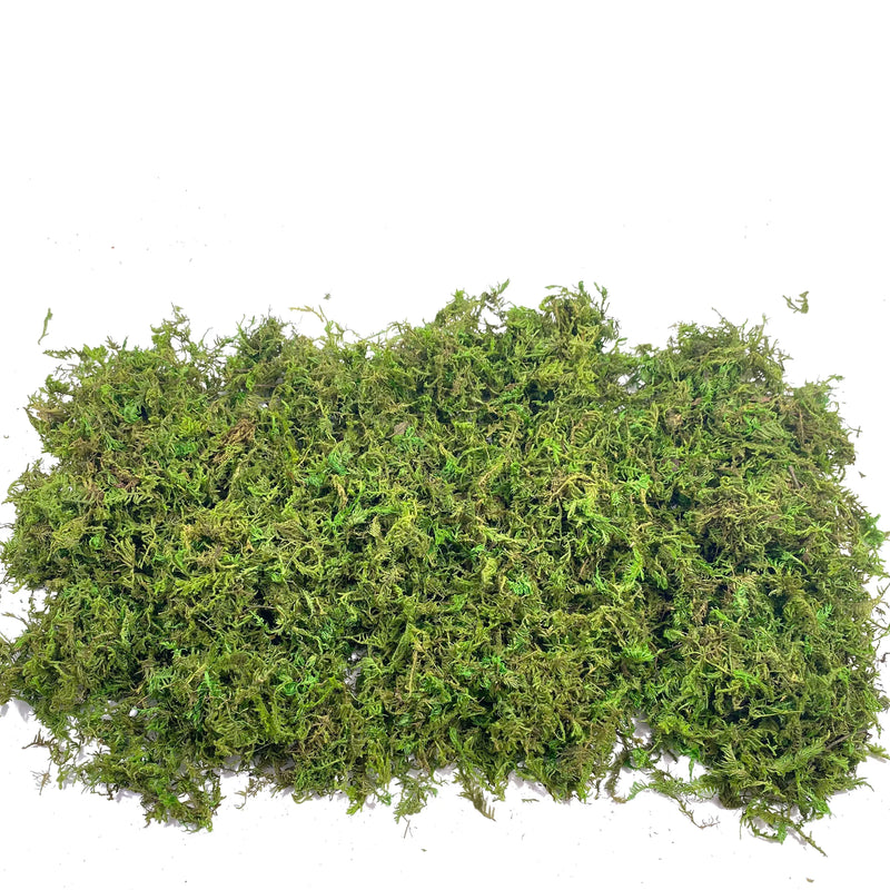 Fake Moss Artificial Moss for Potted Plants Home Decor Fairy Garden Crafts Wedding Decoration