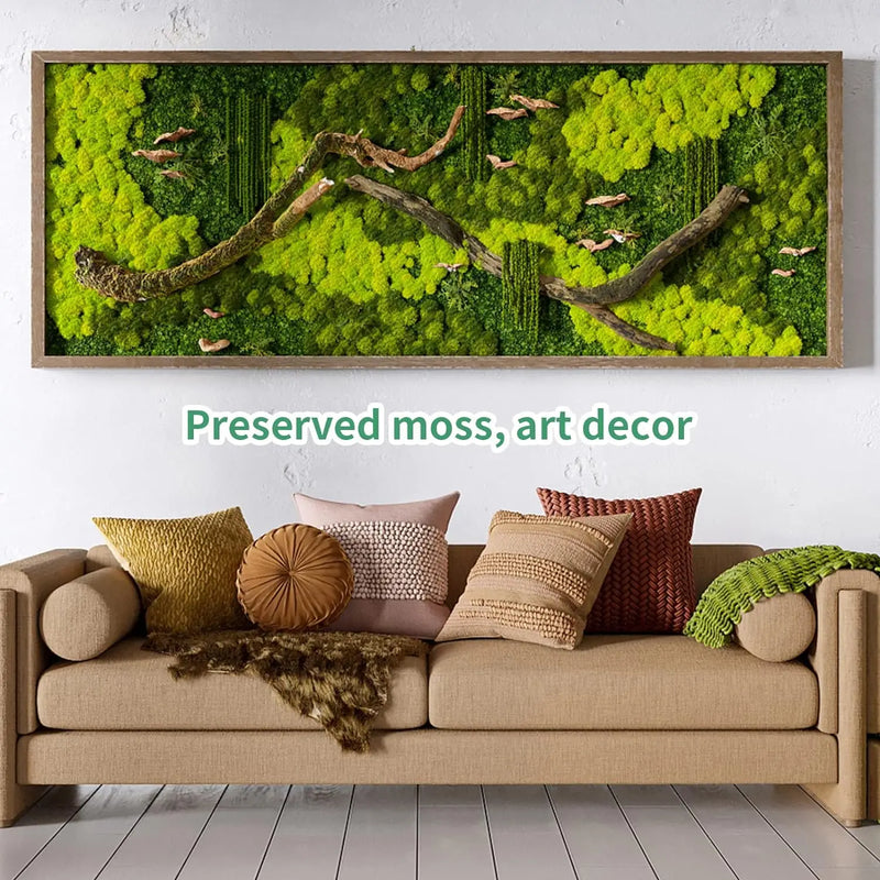 Eternal Life Moss DIY Crafts Grass Artificial Green Plants   Home Room Garden Decor Mini Landscape Fake Grass 20/40/100g