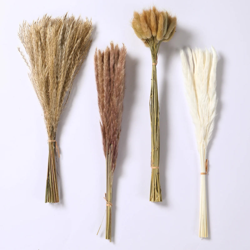 Artificial New Natural Reed Dried Flowers Pampas Grass Home Wedding Decoration European Home American Style Furry Dry Plants