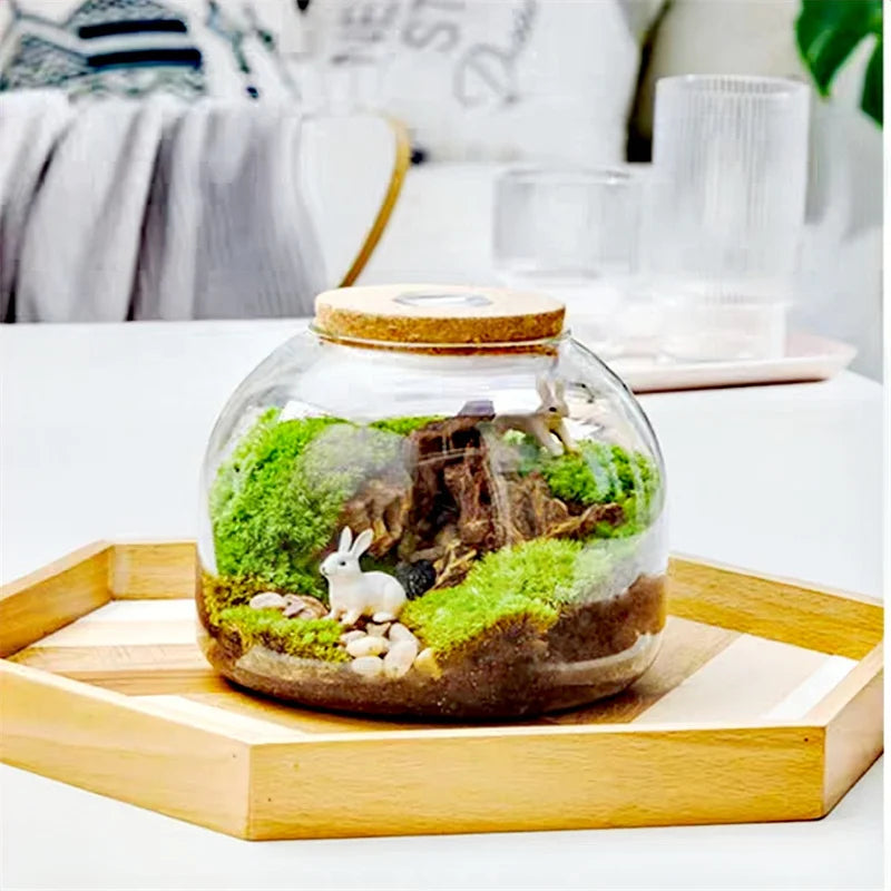 Micro Landscape Moss Bryophyte Glass Vase With Cork Fresh Green Moss Bottle Glass Terrarium Creative Hydroponic Plant Container